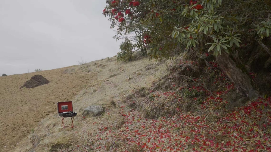 Cheng Xinhao, Musica Proibita still (2024) 10