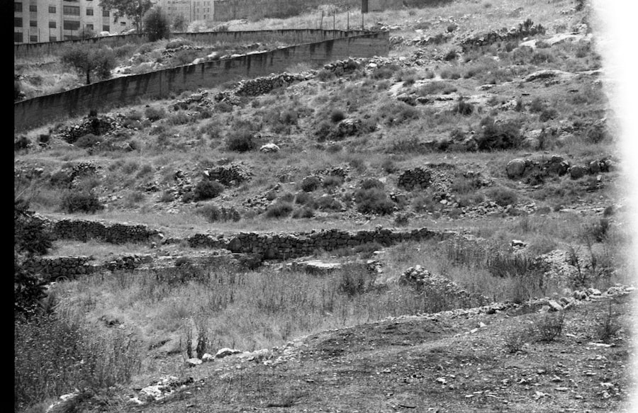 Palestine is Everywhere 6