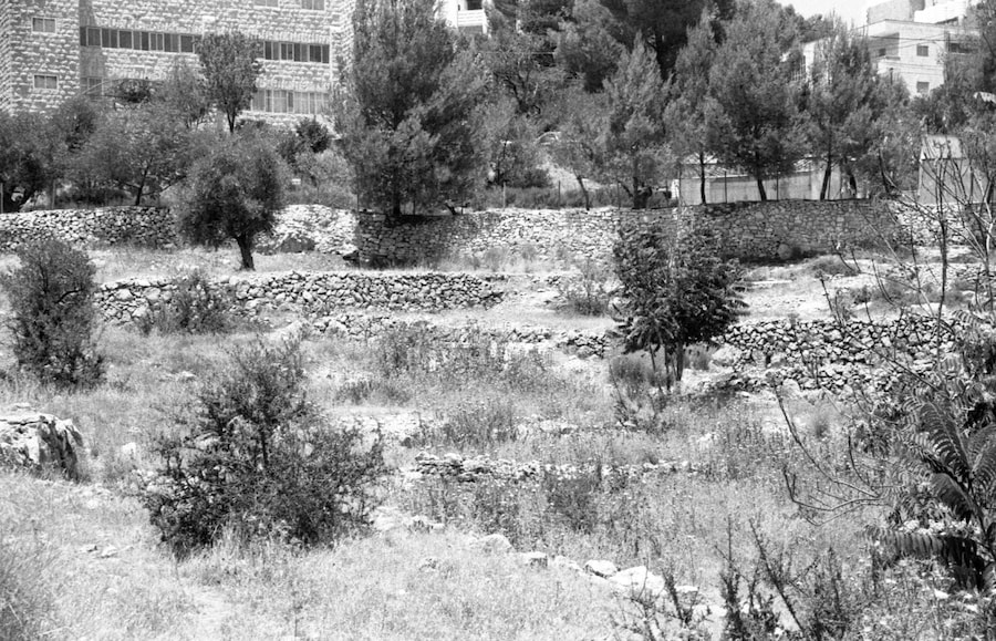 Palestine is Everywhere 3