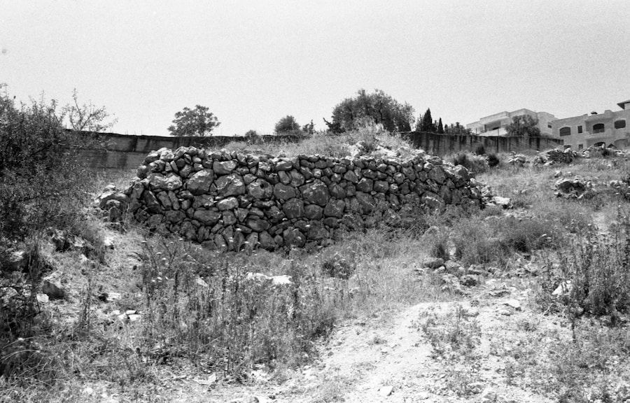 Palestine is Everywhere 4