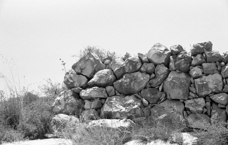 Palestine is Everywhere 5