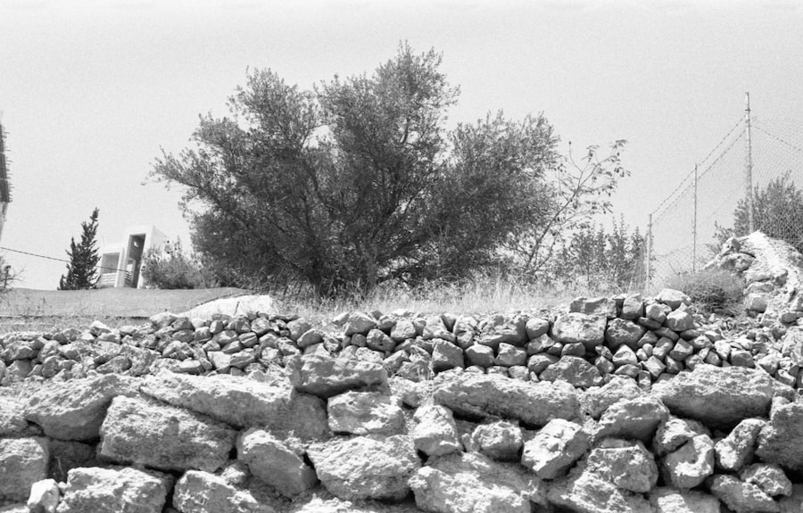 Palestine is Everywhere 7