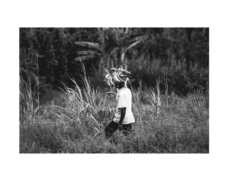 Prints for Jamaica 8