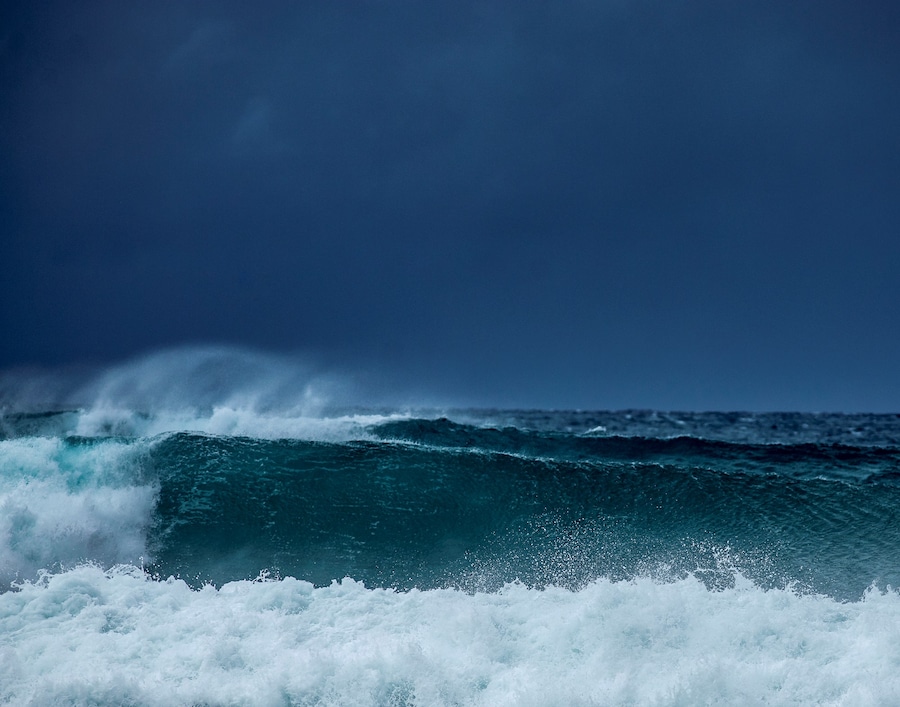 Prints for Jamaica 11