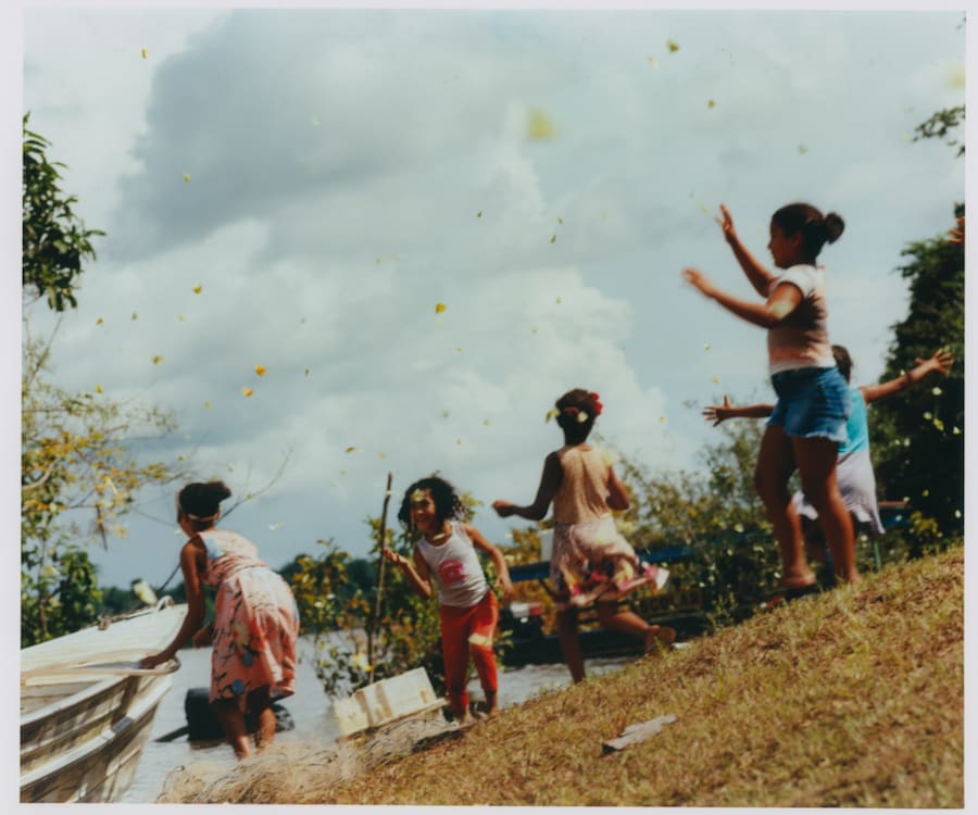 Record Stefan Dotter rainforest book photography 2