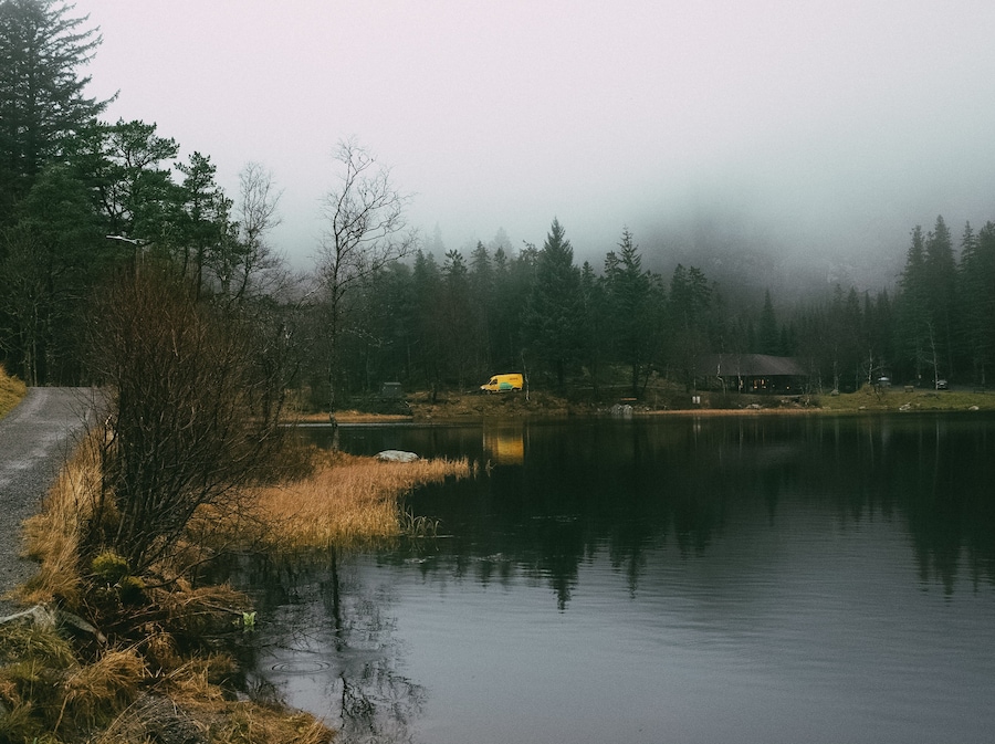 Copy of Sigrid x DHL_norway car- selections -3-min 7