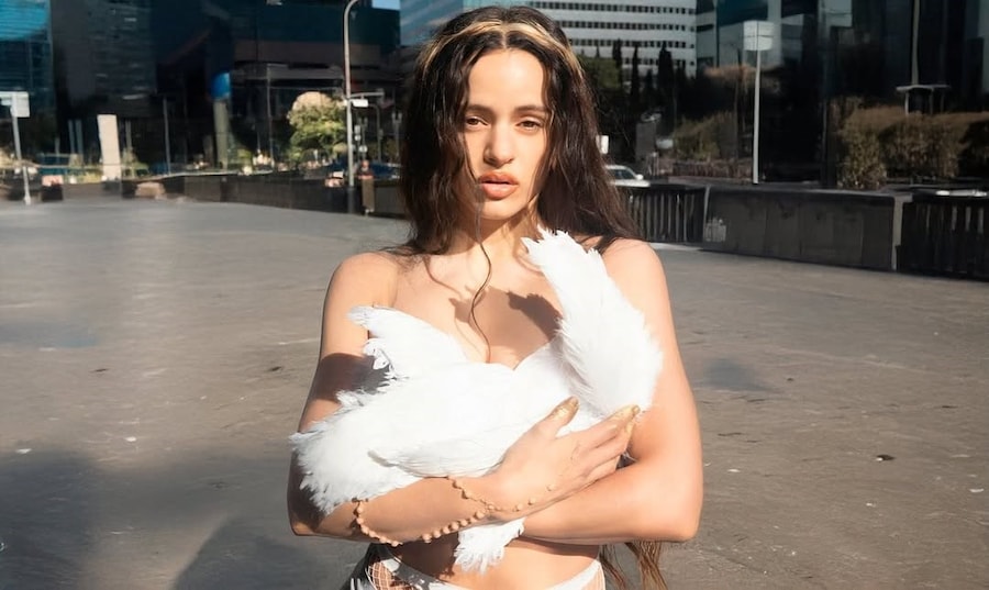 Rosalía LUX Halo Hair Hair: @evaniefrausto 11