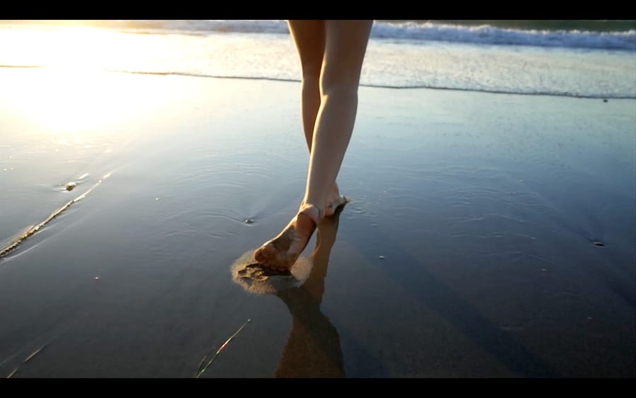 The Flesh That Says Yes 12