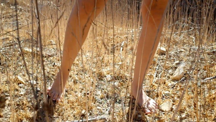 The Flesh That Says Yes 26