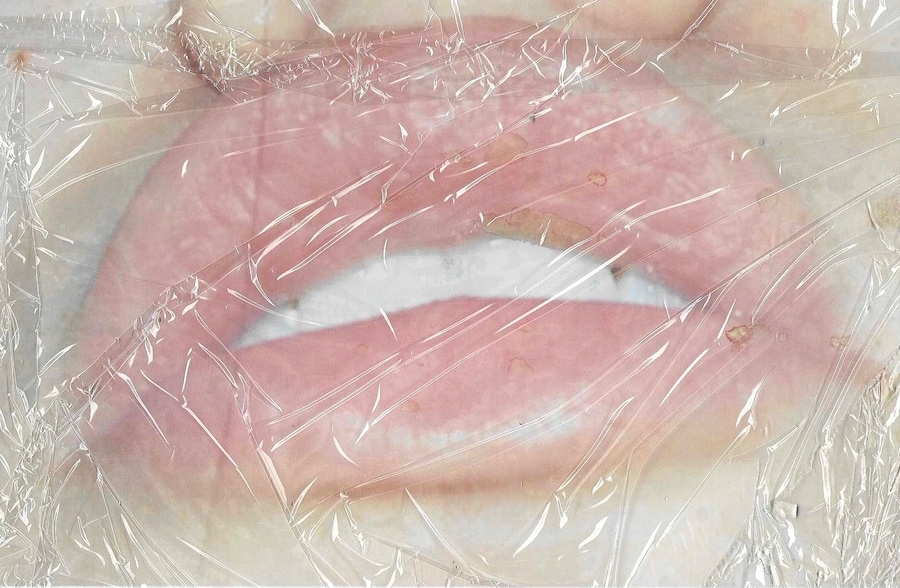 The Flesh That Says Yes 27