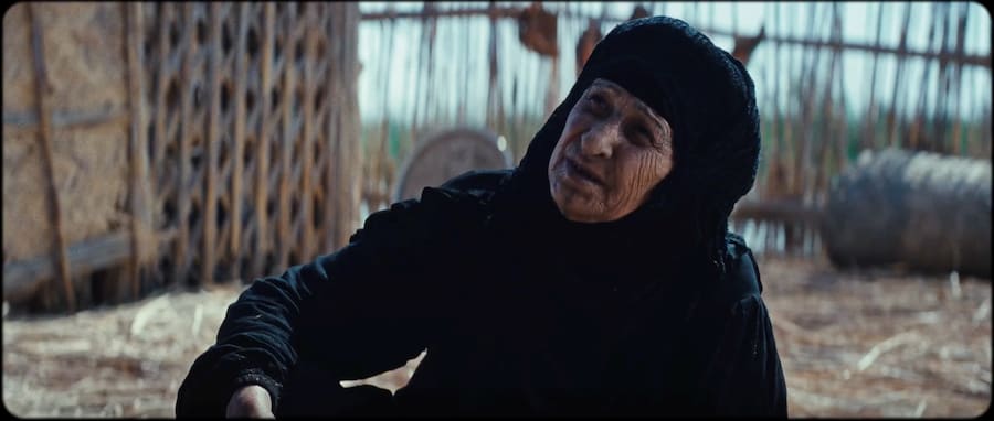 The President’s Cake 6