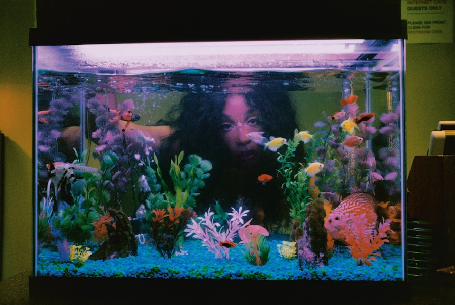 SZA Vans Lifestyle Authentic 12