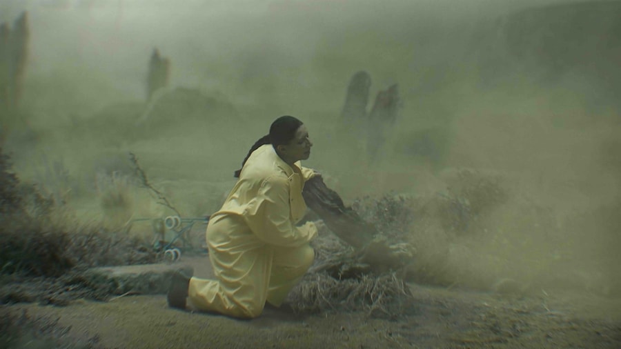 Marina Abramović, Seven Deaths 1