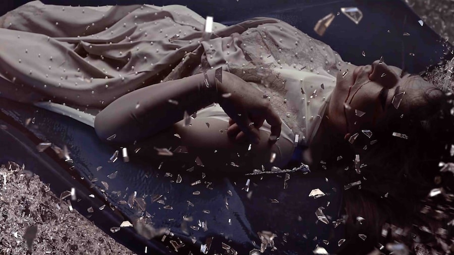 Marina Abramović, Seven Deaths 5