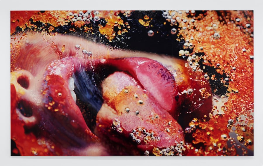 Marilyn Minter 3