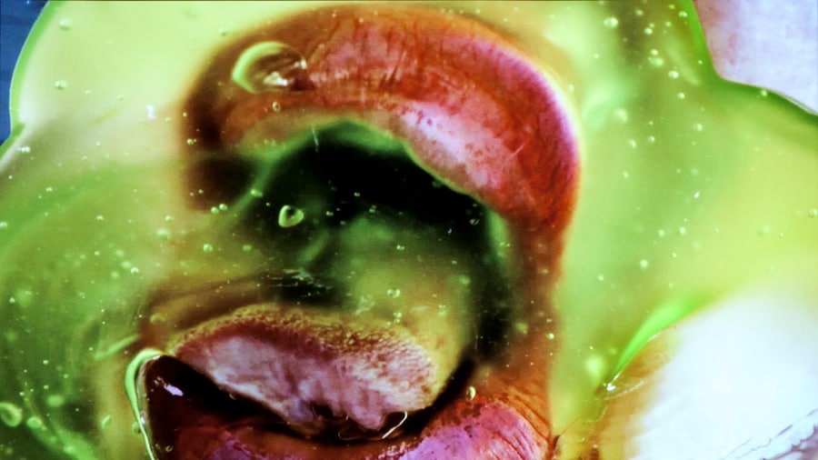Marilyn Minter 21