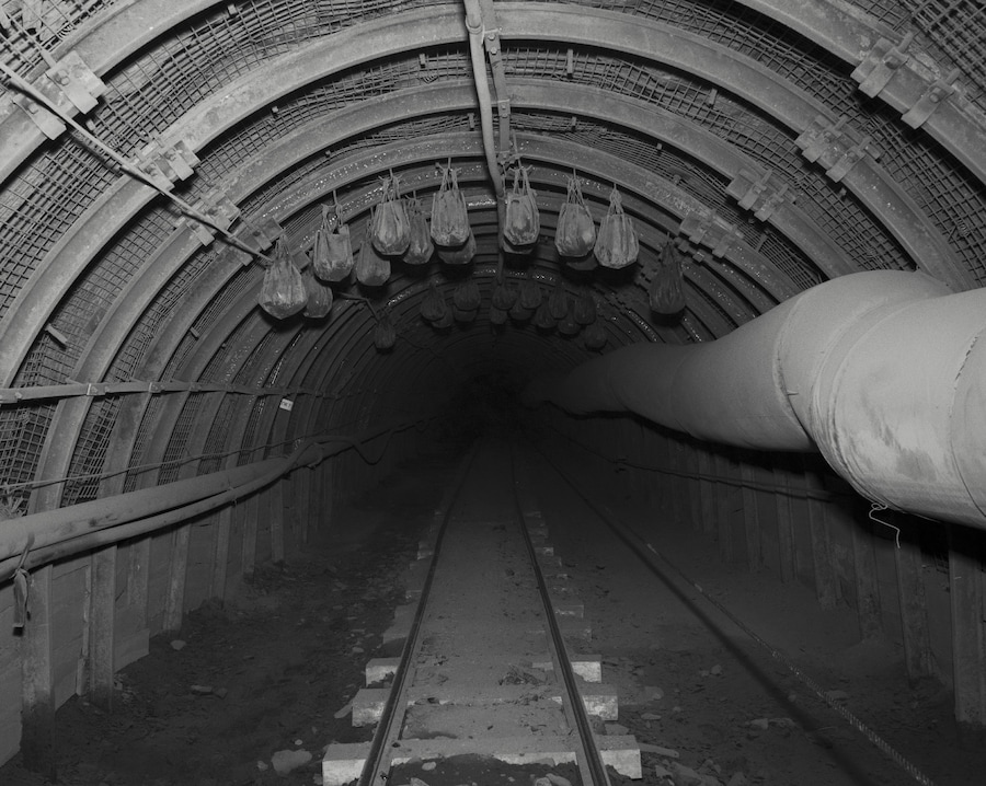 Aria Shahrokhshahi, Wet Ground 6