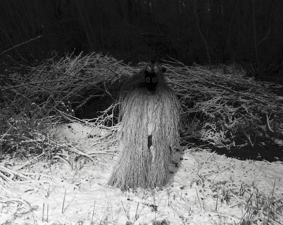 Aria Shahrokhshahi, Wet Ground 20