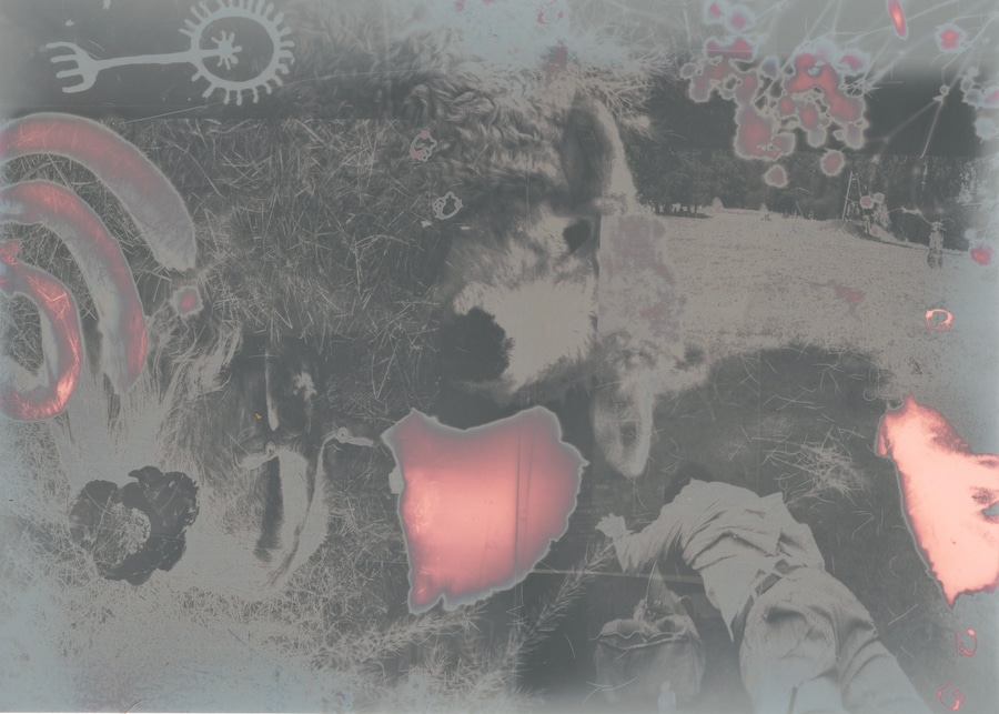 Eoin Conroy, Time Sheep 0