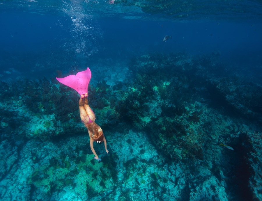 Zara Larsson Main Rose swimwear 7