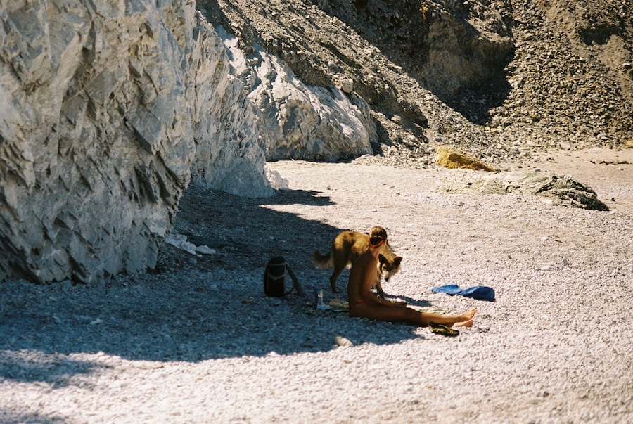 Akila Berjaoui, The Possible Dream 18