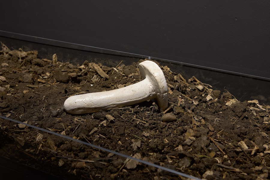 Cruising Archaeology II: Eurotrash 14