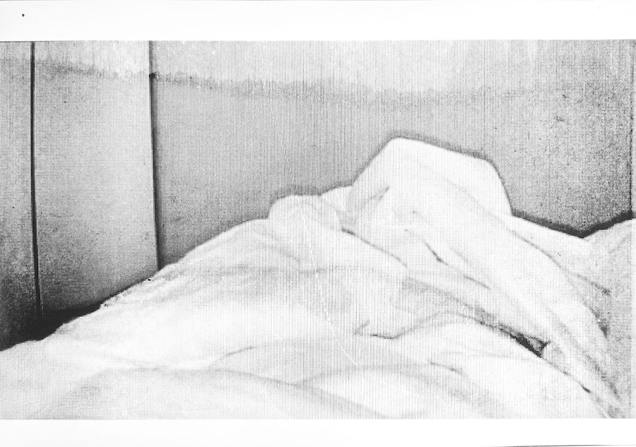 Hanna Stiegeler, Study for Brutes des nuits (2026)  5