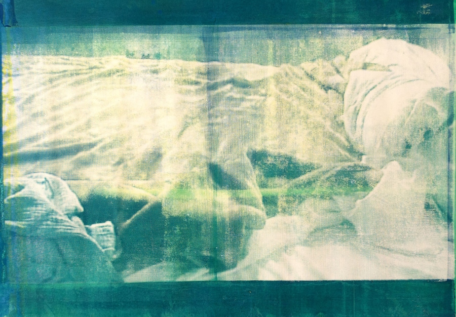 Hanna Stiegeler, Study for Brutes des nuits (2026)  6