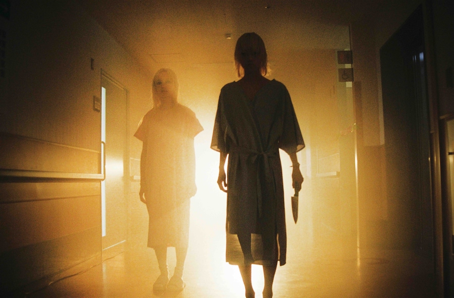 Star, Petra Collins 16