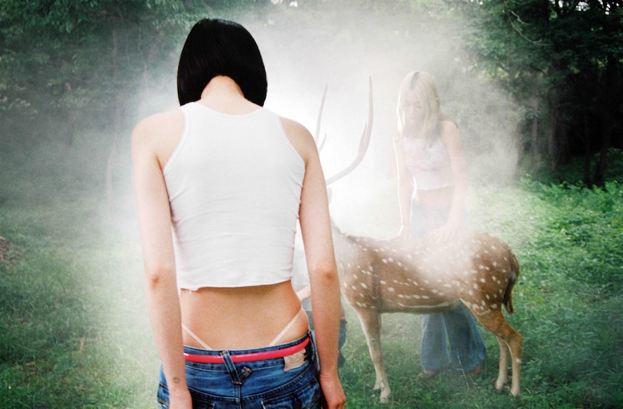 Star, Petra Collins 17