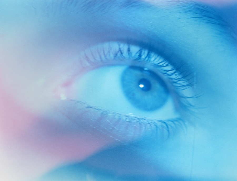 RE_GEORGIA_BLUE_EYE 2 24
