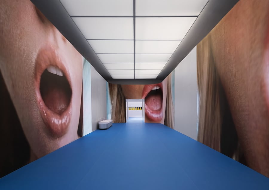 Installation Imagery, Photography © Ugo Carmeni + 19