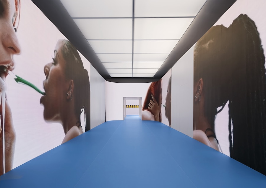 Installation Imagery, Photography © Ugo Carmeni + 21