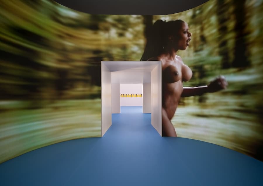 Installation Imagery, Photography © Ugo Carmeni + 22
