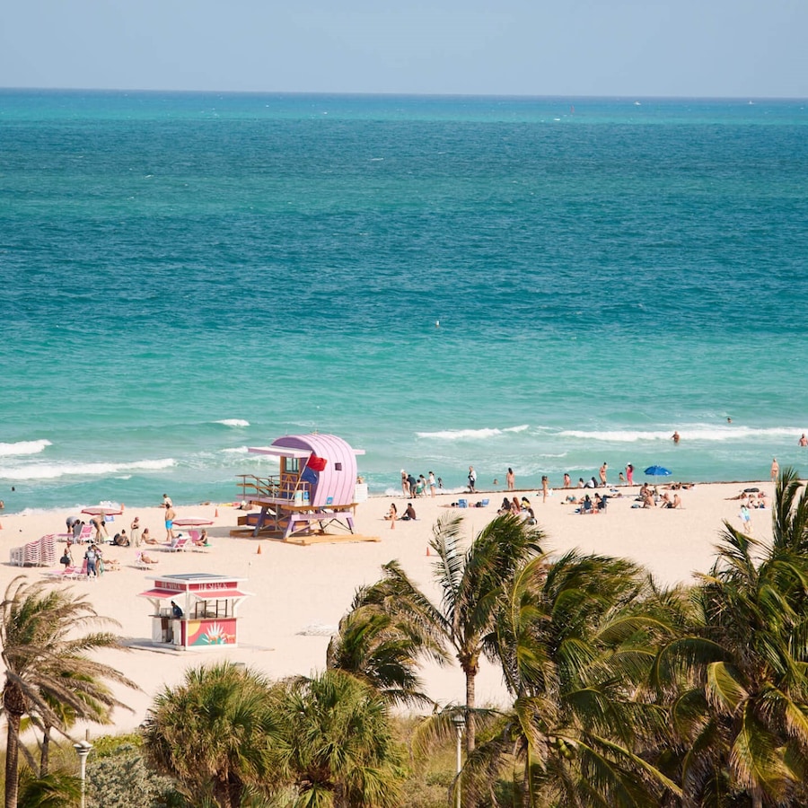 The shelborne Miami by proper 1