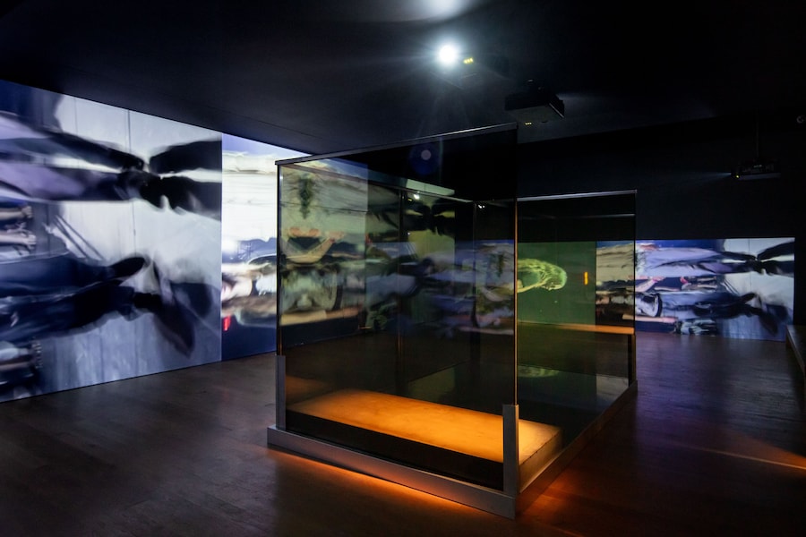 Anne Imhof, Citizen, London Gallery Weekend 2026 3