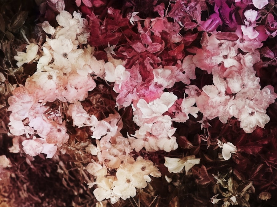 Trevor Paglen, Bloom (#7c5756) (2020) 9