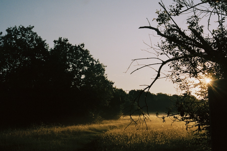 Nike x At Last Atalanta 'The Desire Path' 5