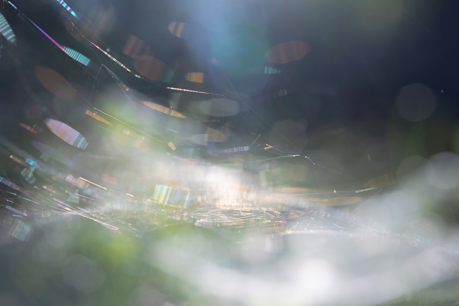 From Our Windows, Rinko Kawauchi and Tokuko Ushioda 8