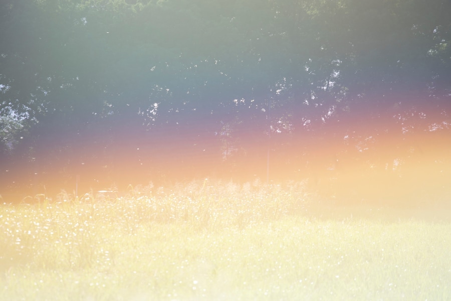From Our Windows, Rinko Kawauchi and Tokuko Ushioda 9
