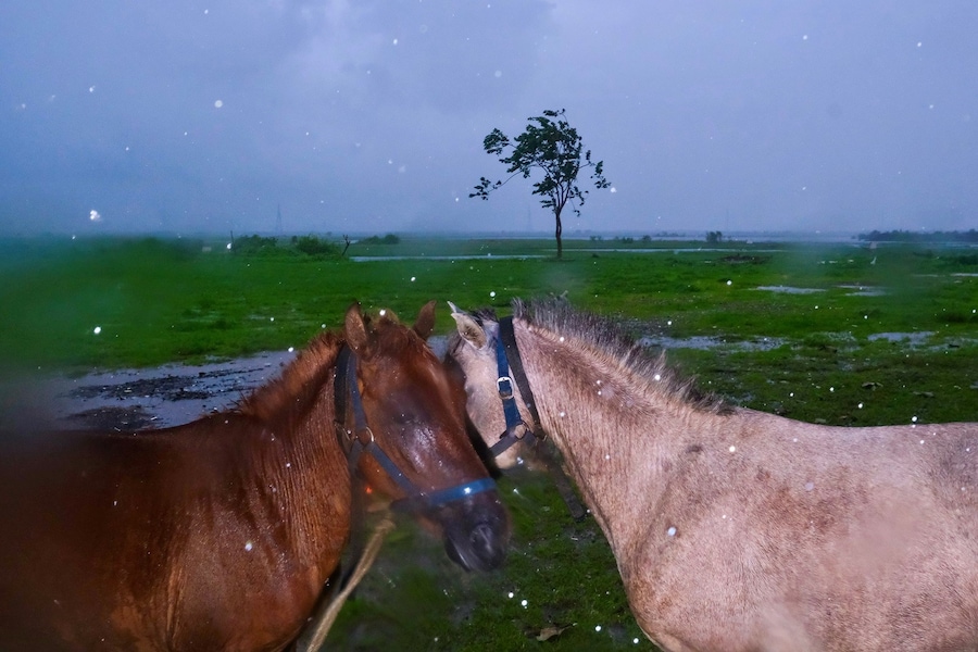 Yash Sheth, The Monsoon Project 6