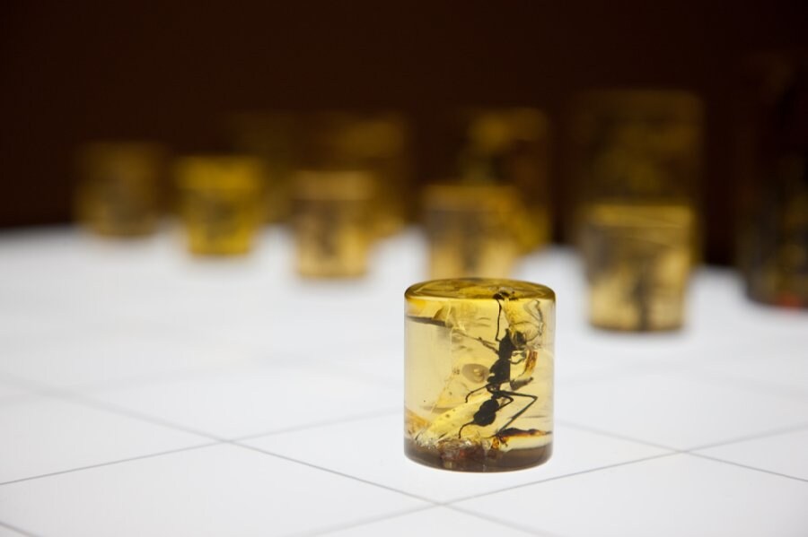 Amorphous Organic, 2008, Alastair Mackie