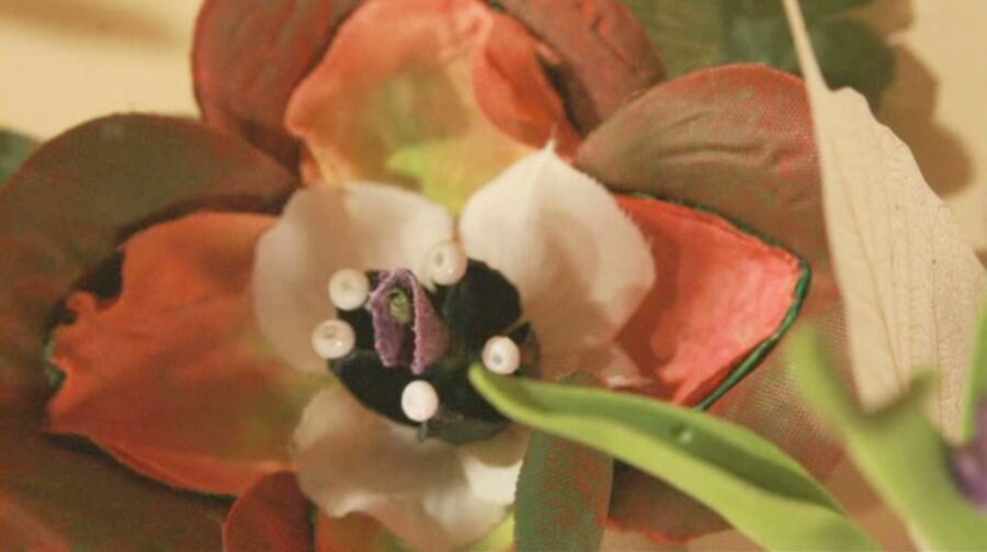 Image 0