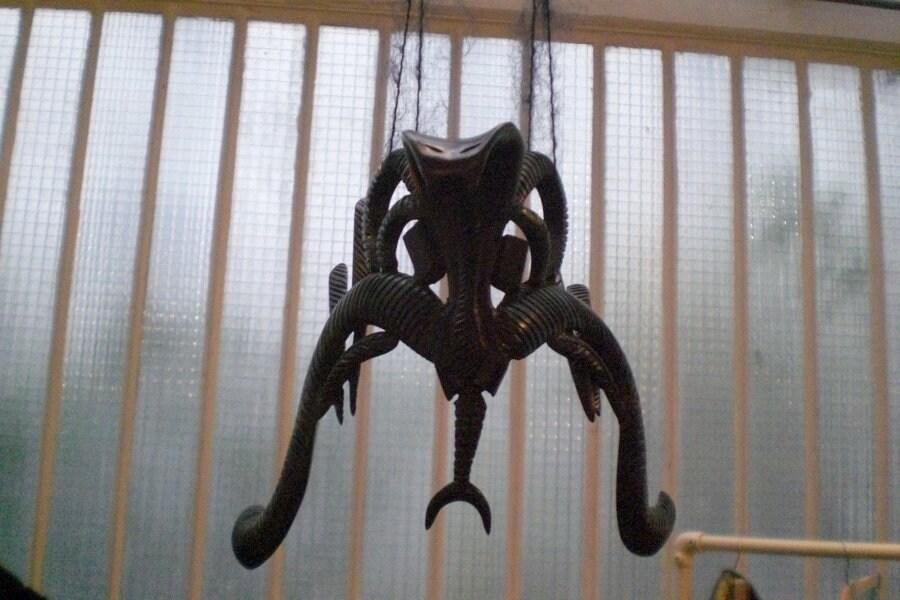 Image 7