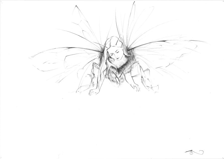 Image 0