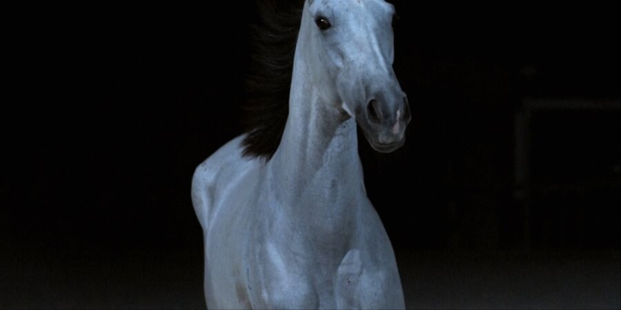 Simon Birch 6