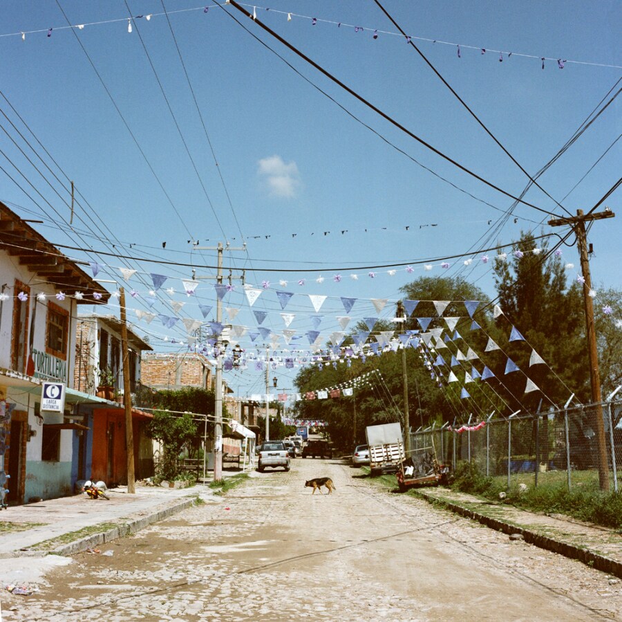 Image 4