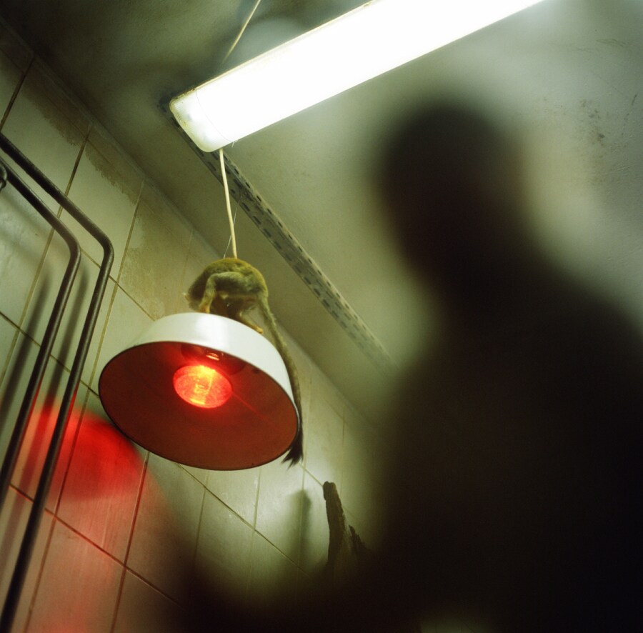 Image 0