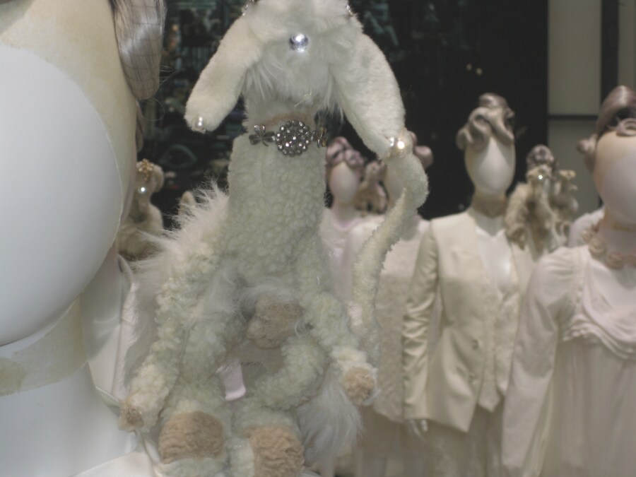 Image 0