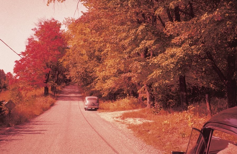 The Road Trip by Anton Bures 0